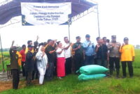 Bermitra dengan PT. Berkat Rejeki Pangan (BRP), panen raya bertema ‘Bersama Bulog dan Petani Unggul Menuju Keberhasilan Swasembada Pangan tahun 2027 ( Dok.Hariansumedang.com / Abdul Haris )