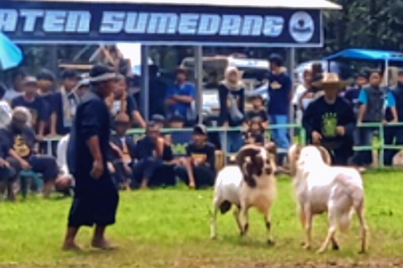 Pamidangan Pandanjaya Abadi  Desa Sakurjaya. Kecamatan Ujungjaya jadi ajang Liga SKDG putaran kedua ( Dok.Hariansumedang.com / Abdul Haris )