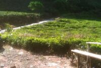 Kita tunggu, gebrakan pemerintah daerah untuk mengembangkan potensi Cisoka. Karena Cisoka bisa menjadi ‘ Puncaknya ‘ Sumedang. ( Dok.Hariansumedang.com / Tatang Tarmedi )