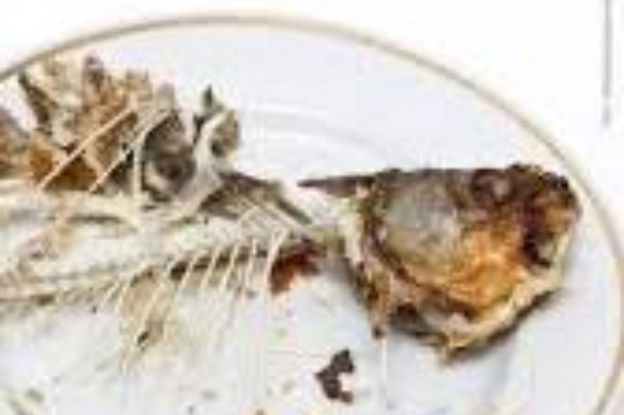 Duri kecil ikan seperti ini kadang bisavtersangkut di tenggorokan, bagaimana cara mengatasinya ( Tatang Tarmedi )