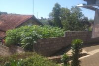 Suasana Kampung Pangatian sekarang telah rapat dengan rumah-rumah warga, padahal kawasan ini ketika jaman Belanda merupakan hamparan kebun teh