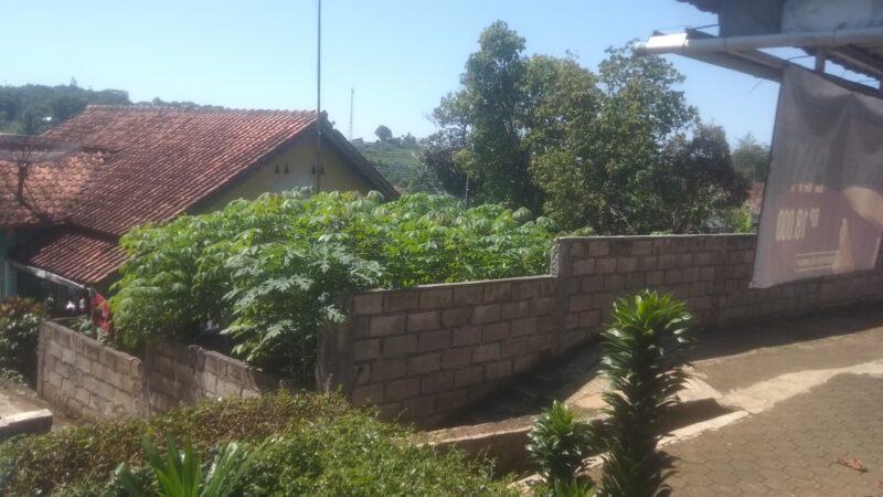 Suasana Kampung Pangatian sekarang telah rapat dengan rumah-rumah warga, padahal kawasan ini ketika jaman Belanda merupakan hamparan kebun teh