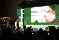 Sinergi lokal-global hadirkan solusi konkret untuk reformasi sistem perberasan nasional.. (Dok. Bapanas)