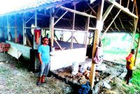 Penyertaan modal tadi digunakan untuk pembelian Kambing 36 ekor dan kandangnya. ( Dok.Hariansumedang.com / Supriadi )