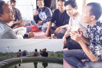 Ikan gurame yang dikembangkan perusahaan ini dari jenis Ikan Gurame Sugih Mukti, varietas baru namun memiliki beberapa keunggulan. ( Dok.hariansumedang.com / Haris )