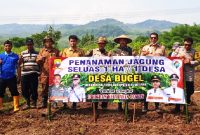 BUMDesa Raharja Desa Bugel Kecamatan Tomo memulai penanaman jagung dalam mensukseskan program ketahanan pangan ( Dok.Hariansumedang.com / Haris )