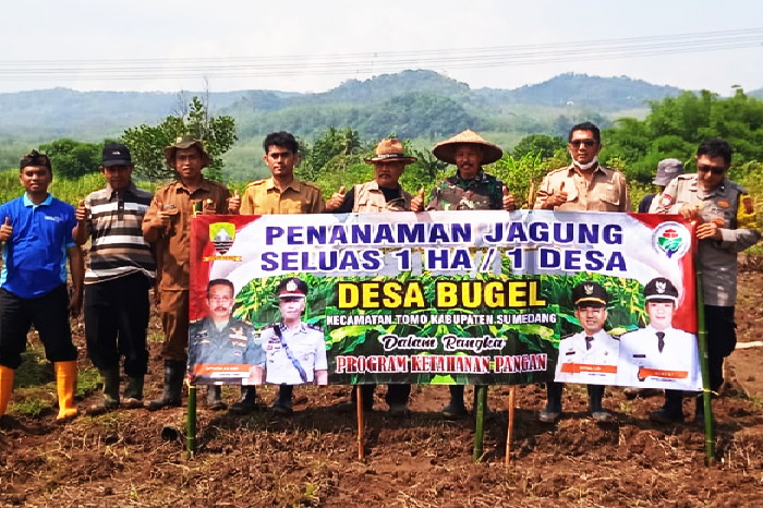 BUMDesa Raharja Desa Bugel Kecamatan Tomo memulai penanaman jagung dalam mensukseskan program ketahanan pangan ( Dok.Hariansumedang.com / Haris )