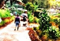 Kepala Desa Cijambu, Samsi, menyatakan bahwa pembangunan jalan ini diharapkan dapat meningkatkan perekonomian warga setempat. ( Dok.Hariansumedang.com / Dody Nsh )