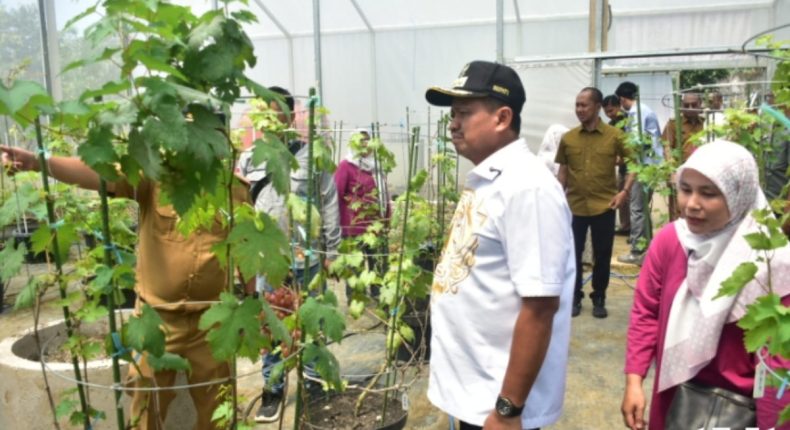 foto slider headline