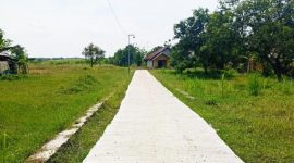 Pengecoran rabat beton jalan lingkungan di Blok Ancol RT 04/RW 04 sepanjang 130 meter dengan lebar 2 meter. Proyek yang dikerjakan Tim Pelaksana Kegiatan Desa melalui skema Padat Karya Tunai Desa ini mulai direalisasikan pada April 2026. ( Abdul Haris )