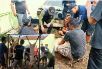 Prosesi penyembelihan hewan kurban tersebut dipusatkan di Dusun Citimun RT 01/RW 01, Desa Citimun, Kecamatan Cimalaka. ( Dok.hariansumedang.com / Siti Kowati )