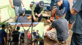 Prosesi penyembelihan hewan kurban tersebut dipusatkan di Dusun Citimun RT 01/RW 01, Desa Citimun, Kecamatan Cimalaka. ( Dok.hariansumedang.com / Siti Kowati )