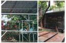 Aviary milik SMP Negeri 2 Rancakalong (kiri) dan aviary milik SDIT Miftahul Ulum Cinere Depok (kanan)