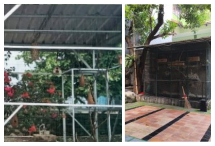 Aviary milik SMP Negeri 2 Rancakalong (kiri) dan aviary milik SDIT Miftahul Ulum Cinere Depok (kanan)