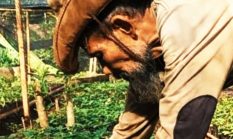 Dedikasi Tanpa Batas Forum Peduli Gunung Geulis Jatinangor demi Warisan Anak Cucu