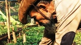 Saepudin Ketua Forum Peduli Gunung Geulis di Desa Jatiroke Kecamatan Jatinangor terus gigih memperjuangkan penghijauan di Gunung Geulis