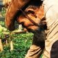 Saepudin Ketua Forum Peduli Gunung Geulis di Desa Jatiroke Kecamatan Jatinangor terus gigih memperjuangkan penghijauan di Gunung Geulis