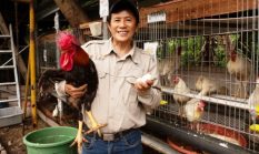 Atasi Krisis Sampah Bandung, Dosen ITB Hadirkan Inovasi ‘Apartemen Ayam Maggot’ Berbasis Ekonomi Sirkular
