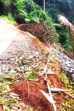Antisipasi Longsor Susulan, Pemdes Suriamukti Pasang Bronjong Sepanjang 50 Meter