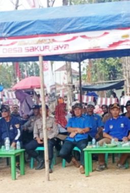 Meriahkan HUT RI ke-81, Desa Sakurjaya Gelar Puncak Milangkala ke-44 di Lapangan Pamidangan