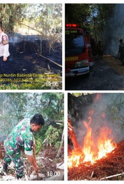 Tiga Kejadian Kebakaran Lahan di Tanjungsari Dilumpuhkan Tim Gabungan