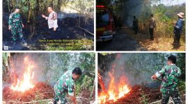 Api berhasil dipadamkan sejam kemudian berkat kesigapan tim gabungan Damkar Tanjungsari, Babinsa, Bhabinkamtibmas, dan warga setempat.