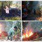 Api berhasil dipadamkan sejam kemudian berkat kesigapan tim gabungan Damkar Tanjungsari, Babinsa, Bhabinkamtibmas, dan warga setempat.