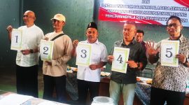 Lima kontestan yang berlaga dalam kontestasi ini adalah Ade Mulyadi (nomor urut 1), Sigit (nomor urut 2), H. Ade Nanan/incumbent (nomor urut 3), Wahyudin (nomor urut 4), dan Ade Harto (nomor urut 5).