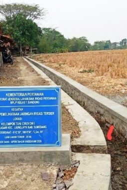 Program RJIT Kementan Bawa Harapan Baru, Poktan Desa Palasari Sumedang Optimistis Naikkan IP 200 ke IP 300