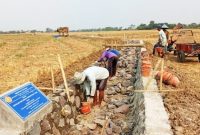 Sebanyak 16 kelompok tani terpilih menjadi penerima manfaat prioritas, salah satunya Kelompok Tani UQY yang berlokasi di Desa Ujungjaya.