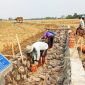 Sebanyak 16 kelompok tani terpilih menjadi penerima manfaat prioritas, salah satunya Kelompok Tani UQY yang berlokasi di Desa Ujungjaya.