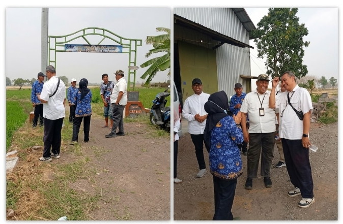 Untuk wilayah Desa Sukamulya secara keseluruhan, target perluasan kawasan PM AAS pada tahun 2026 diperkirakan mencapai 15 hingga 20 hektare.